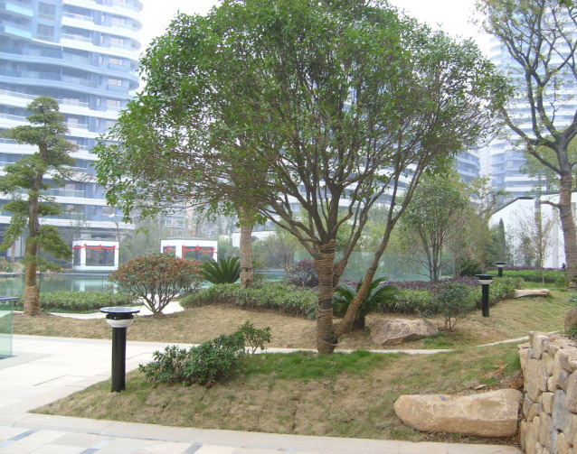 ��ƺ���^��